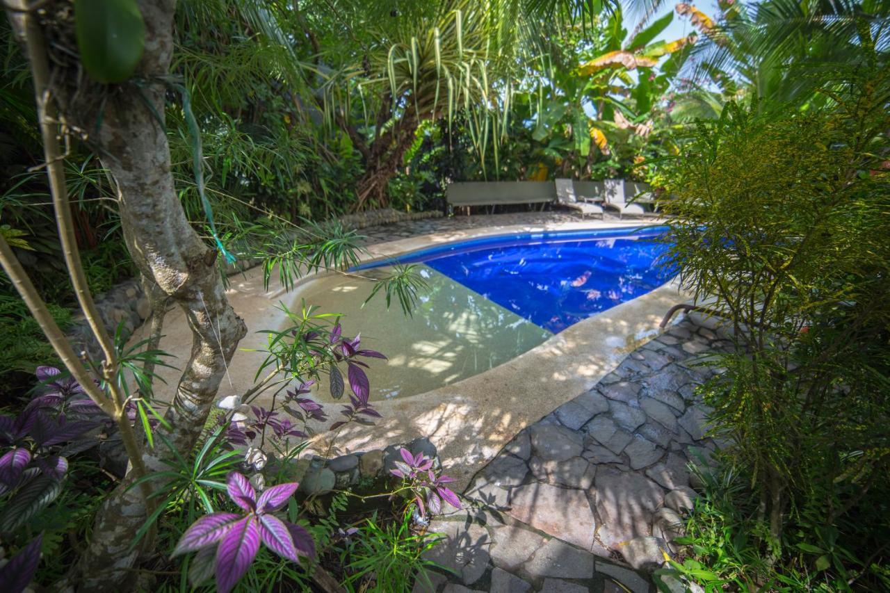 Villas Oasis Мануэль-Антонио Экстерьер фото